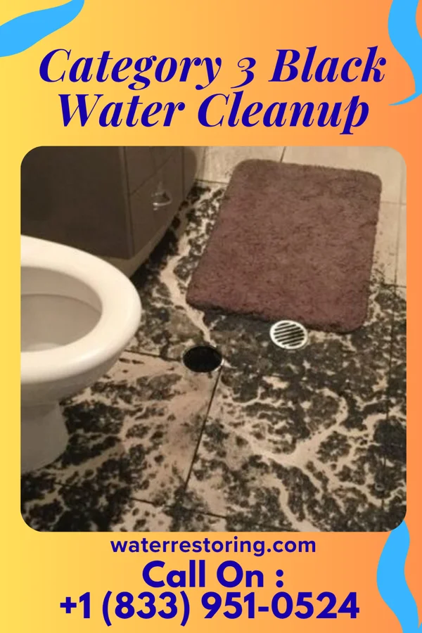 Category 3 Black Water Cleanup in Clayton, NM