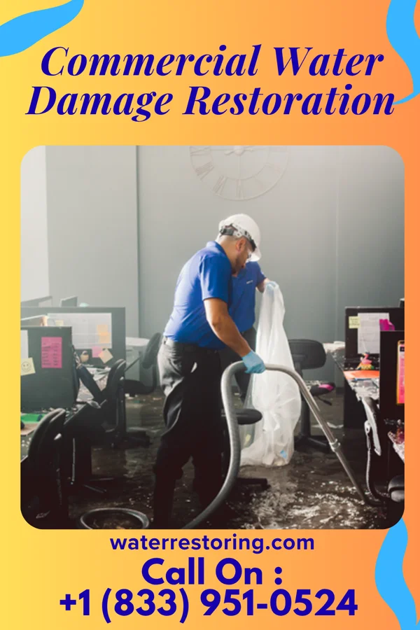 Commercial Water Damage Restoration in Clayton, NM