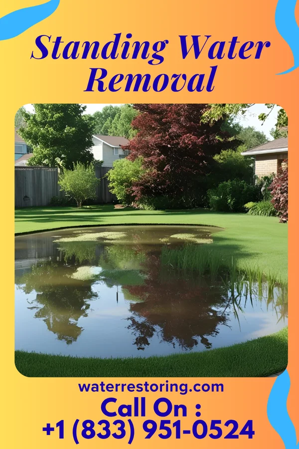Standing Water Removal in Clayton, NM